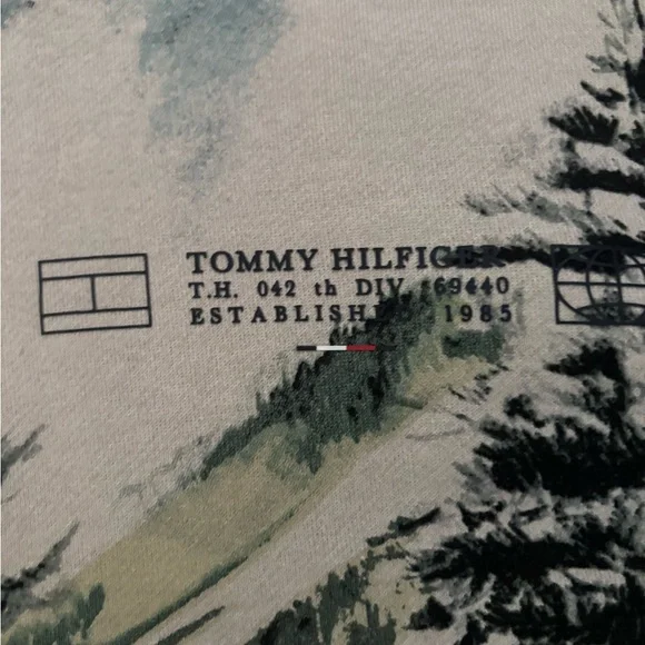 Tommy Hilfiger Landscape Graphic Print Hoodie - Picture 2 of 4